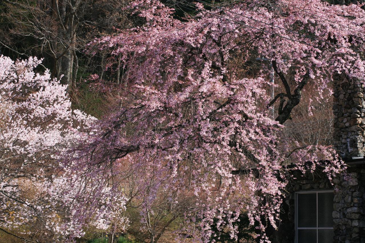 Nukumorino-Yado Komanoyu Kiso Exterior photo